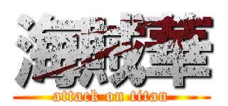 海賊華 (attack on titan)