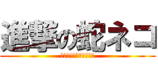 進撃の蛇ネコ (アスタロト好きの初心者)