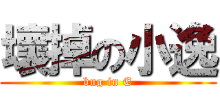 壞掉の小逸 (bug in E)