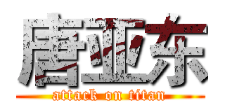 唐亚东 (attack on titan)