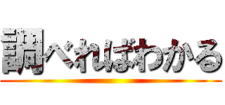 調べればわかる ()