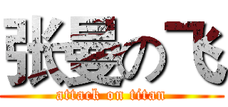 张曼の飞 (attack on titan)