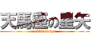 天馬座の星矢 (saint seiya)