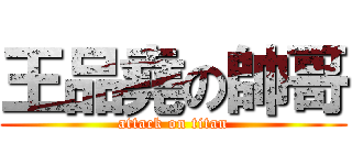 王品堯の帥哥 (attack on titan)