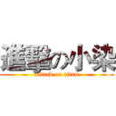 進擊の小染 (attack on titan)