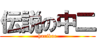 伝説の中二 (harikae)