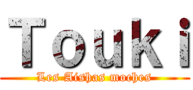 Ｔｏｕｋｉ (Les Aishas moches)