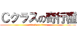 Ｃクラスの奇行種 (attack on titan)