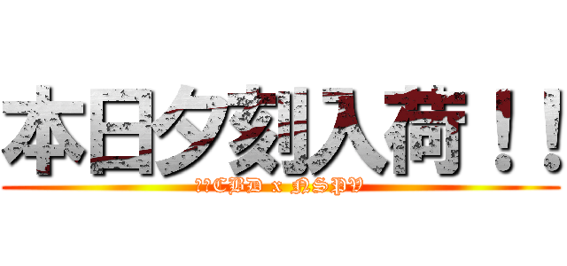 本日夕刻入荷！！ (玄人CBD x NSPV)