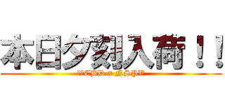 本日夕刻入荷！！ (玄人CBD x NSPV)