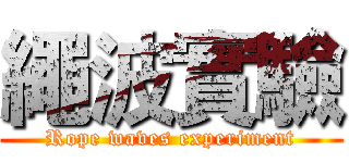 繩波實驗 (Rope waves experiment)