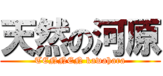 天然の河原 (TENNEN kawahara)