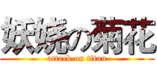 妖娆の菊花 (attack on titan)