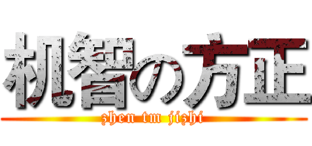 机智の方正 (zhen tm jizhi)