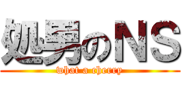 処男のＮＳ (what a cherry)