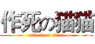 作死の猫猫 (attack on titan)