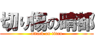 切り傷の晴都 (attack on titan)