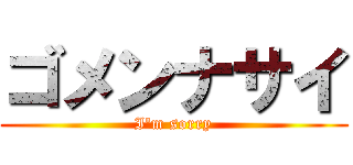 ゴメンナサイ (I'm sorry)