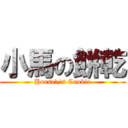 小馬の餅乾 (Horse\'s Cookie)