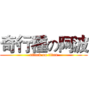 奇行種の阿波 (attack on titan)