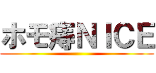 ホモ痔ＮＩＣＥ ()