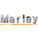 Ｍａｒｌｅｙ (Final Season)