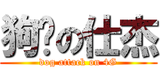 狗擊の仕杰 (dog attack on 4G)