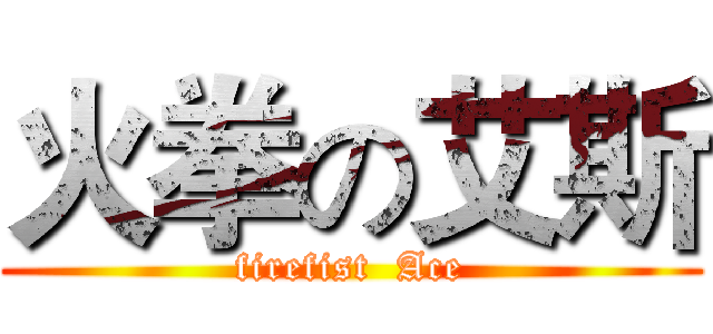 火拳の艾斯 (firefist  Ace)