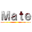 Ｍａｔｅ ()