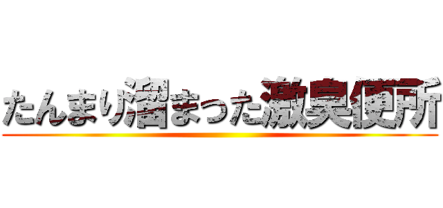 たんまり溜まった激臭便所 ()