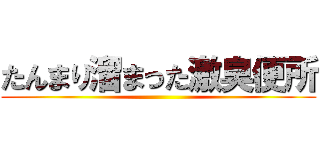 たんまり溜まった激臭便所 ()