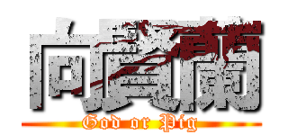 向賢蘭 (God or Pig)