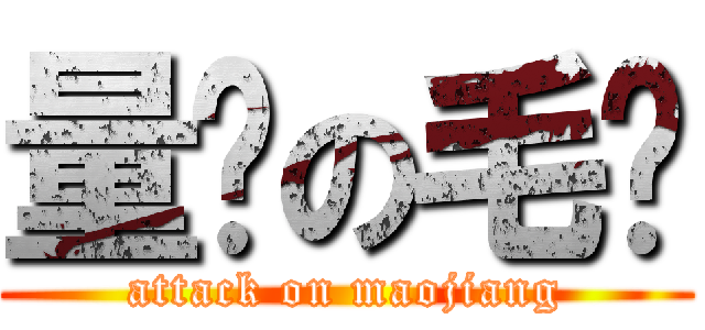 量產の毛醬 (attack on maojiang)