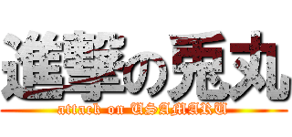進撃の兎丸 (attack on USAMARU)