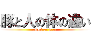 豚と人の体の違い (attack on titan)