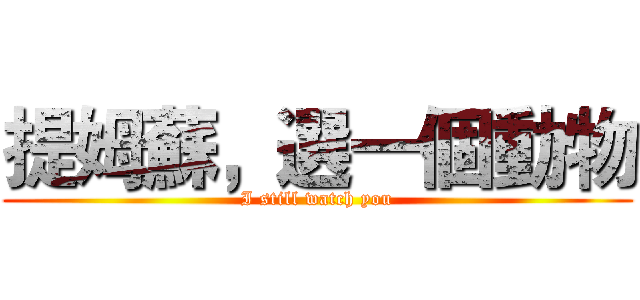 提姆蘇，選一個動物 (I still watch you)