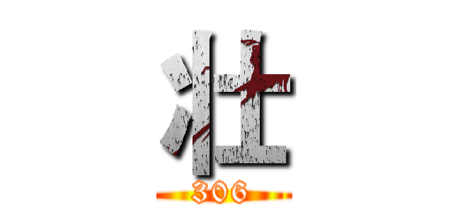壮 (306)