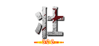 壮 (306)