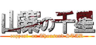 山寨の千星 (copycat  on Thousand STAR)