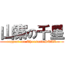 山寨の千星 (copycat  on Thousand STAR)