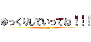 ゆっくりしていってね！！！ (by reimu)