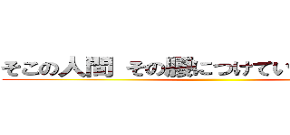 そこの人間 その腰につけているものはなんだ ()