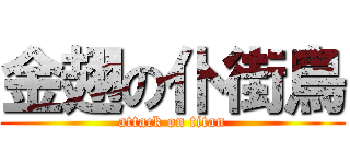 金翅の仆街鳥 (attack on titan)