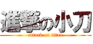 進撃の小刀 (attack on titan)