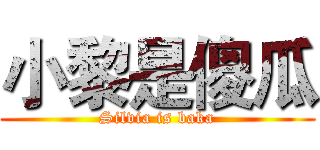 小黎是傻瓜 (Silvia is baka)