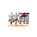 林雨 (2013级15班)