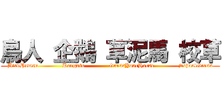 鳥人 企鵝 草泥馬 校草 (BirdHuman             Penguin             GrassYourHorse             SchoolGrass)