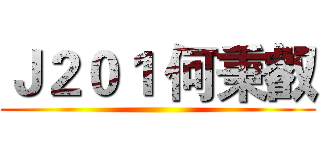 Ｊ２０１ 何秉叡 ()