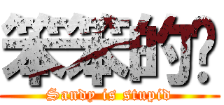 笨笨的雞 (Sandy is stupid)