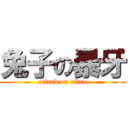 兔子の暴牙 (attack on titan)